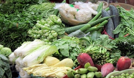 Các loại rau củ quả thì dùng chất kích thích cho nhanh chín, gia cầm dùng thuốc tăng trọng.